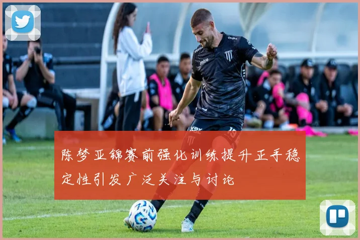 陈梦亚锦赛前强化训练提升正手稳定性引发广泛关注与讨论